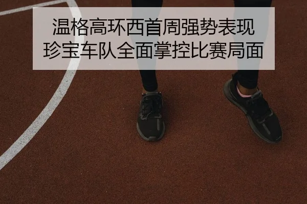 wen-ge-gao-huan-xi-shou-zhou-qiang-shi-biao-xian-zhen-bao-che-dui-quan-mian-zhang-kong-bi-sai-ju-mian-2-222.jpg
